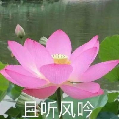 腾讯激战狂潮国服下载